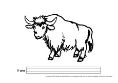 Y-wie-Yak.pdf